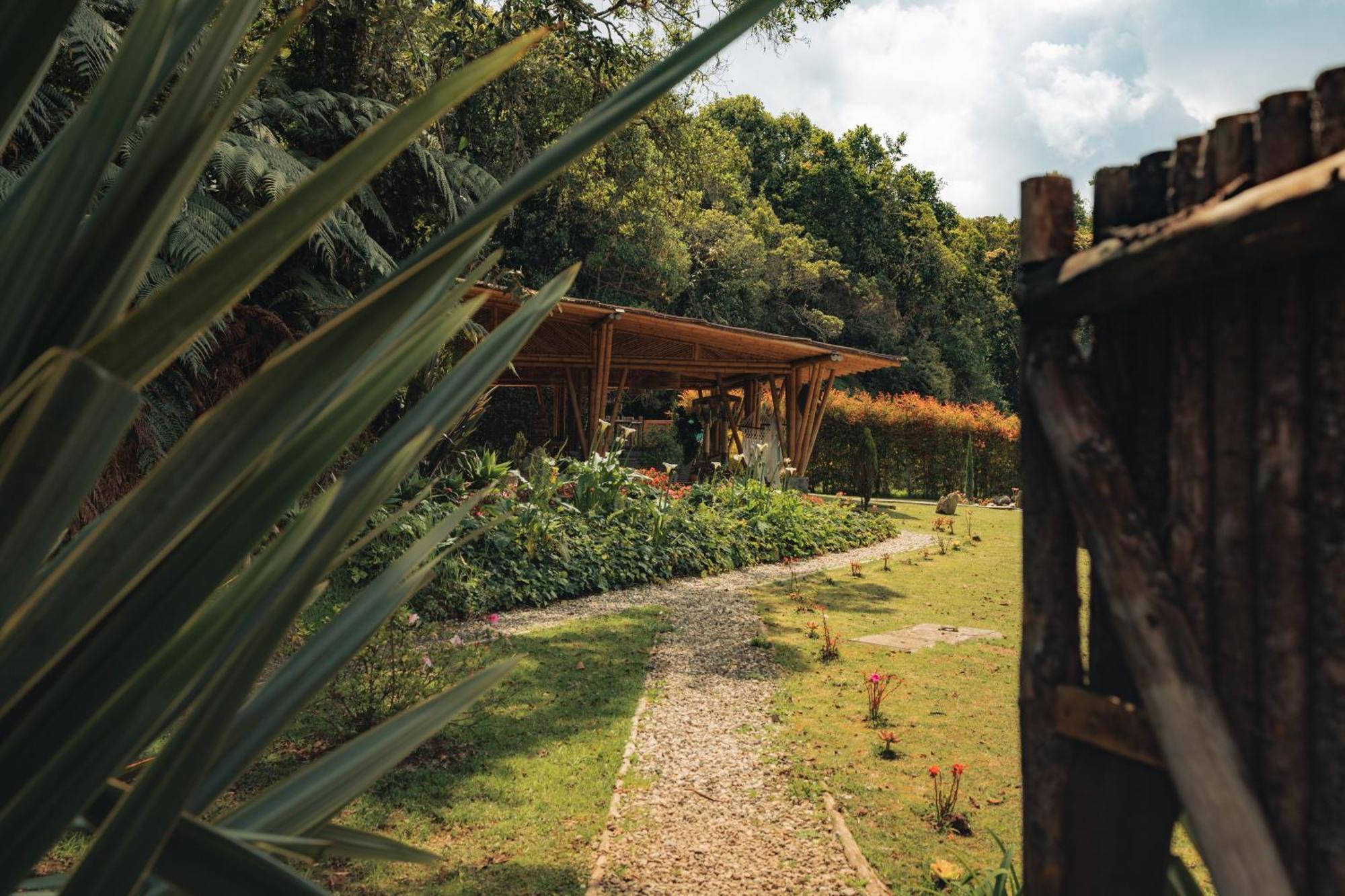 Bubblesky Glamping 15 Min From Medellin Hotel Rionegro Exterior photo