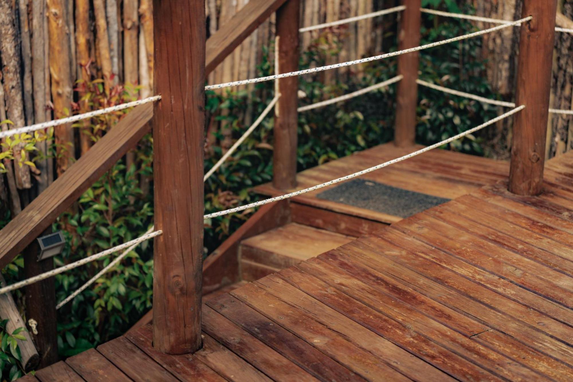 Bubblesky Glamping 15 Min From Medellin Hotel Rionegro Exterior photo