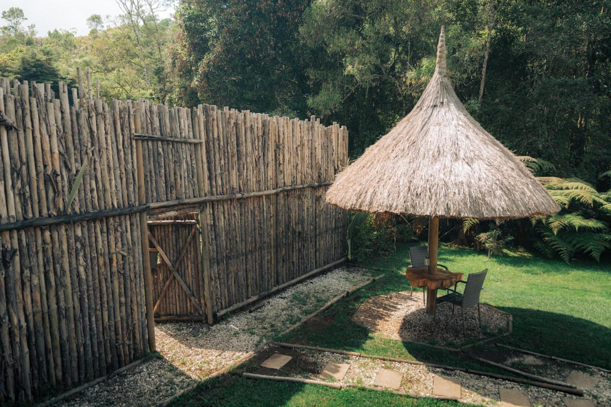 Bubblesky Glamping 15 Min From Medellin Hotel Rionegro Exterior photo