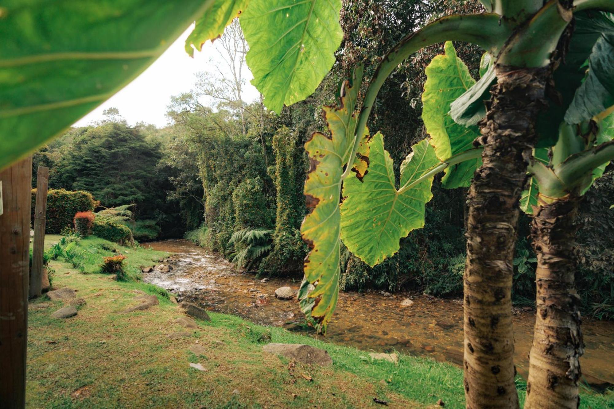 Bubblesky Glamping 15 Min From Medellin Hotel Rionegro Exterior photo