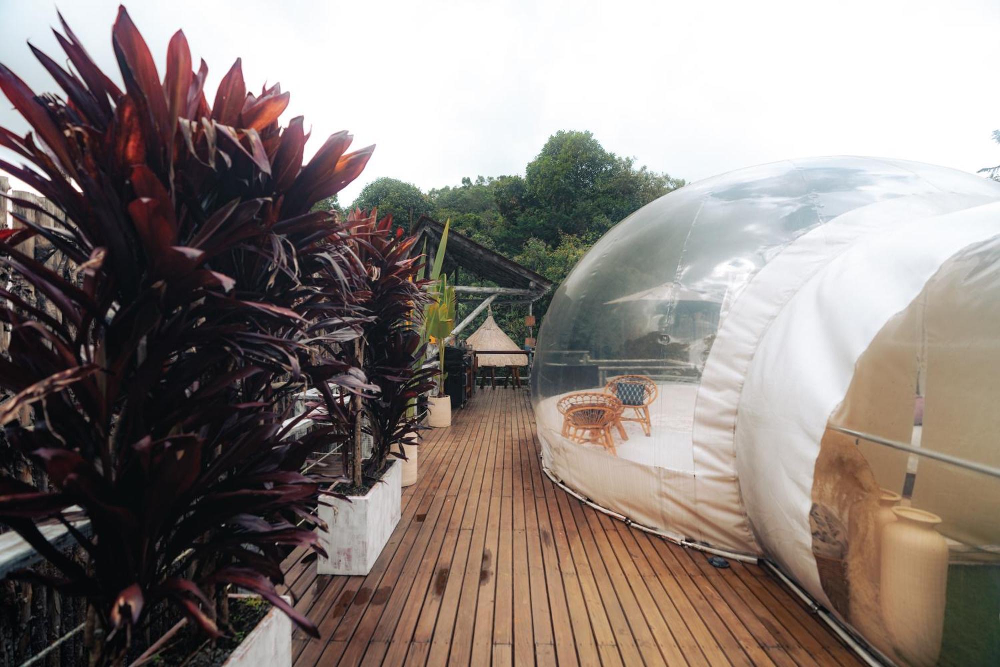 Bubblesky Glamping 15 Min From Medellin Hotel Rionegro Exterior photo