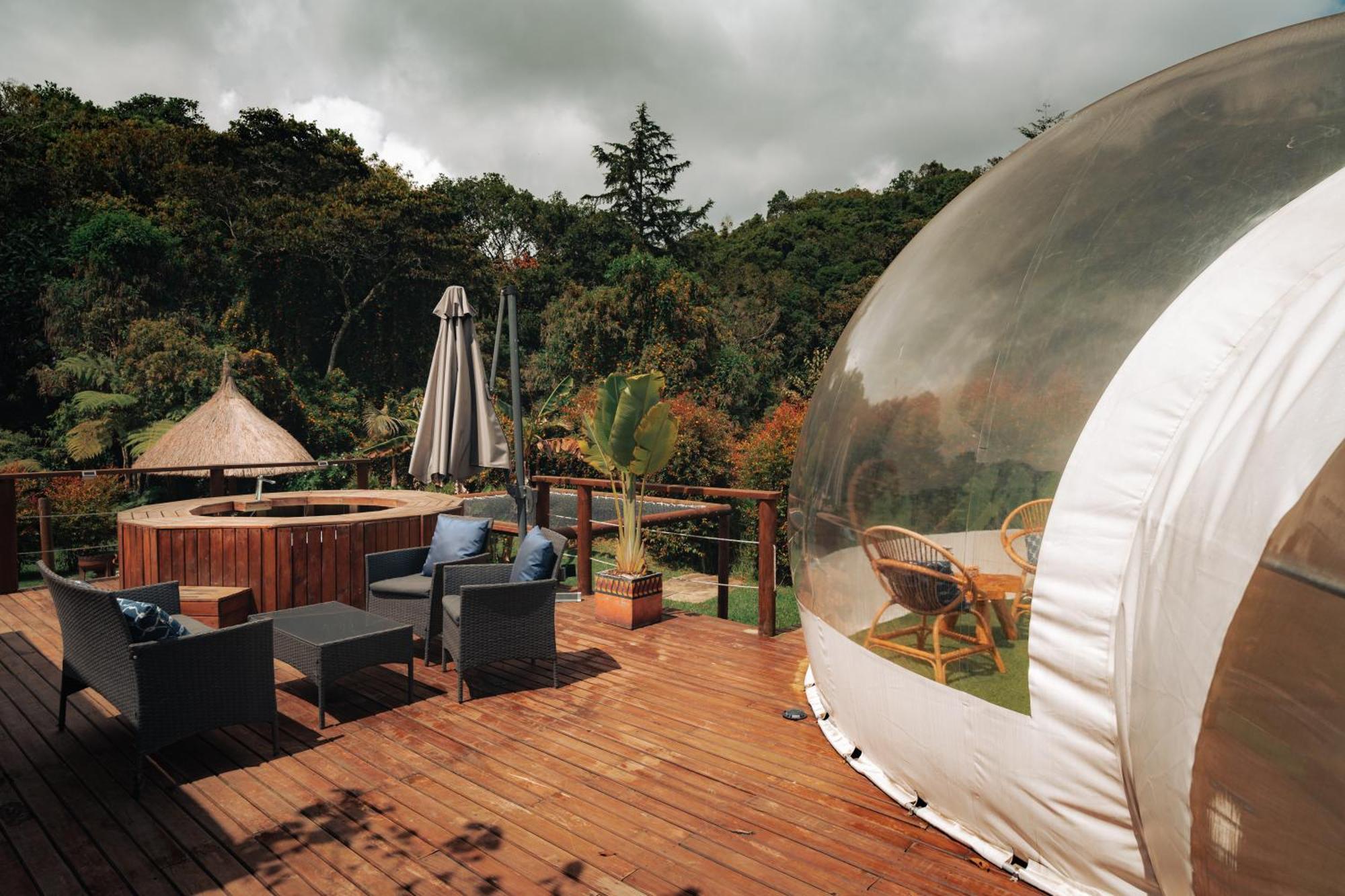 Bubblesky Glamping 15 Min From Medellin Hotel Rionegro Exterior photo