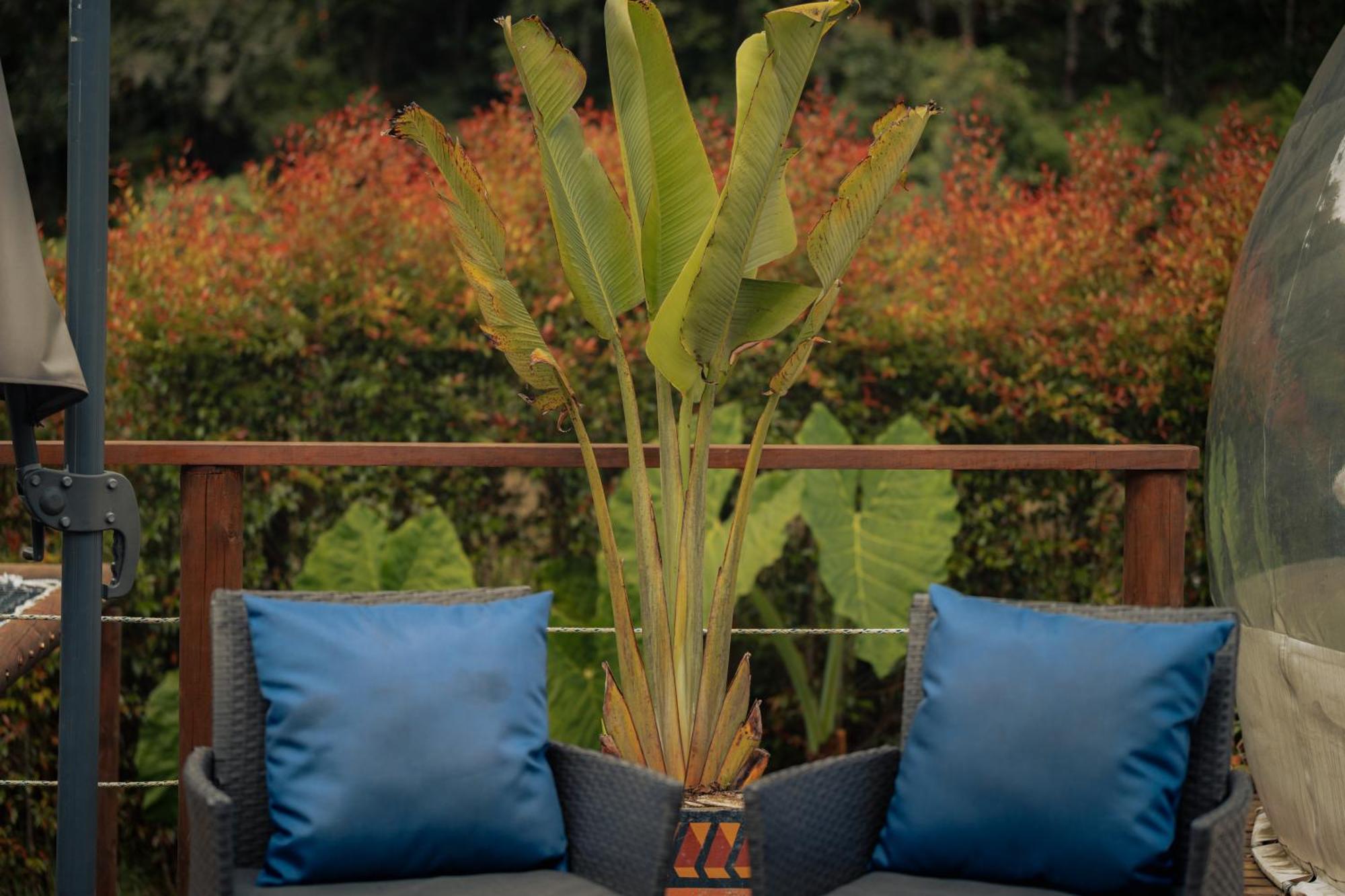 Bubblesky Glamping 15 Min From Medellin Hotel Rionegro Exterior photo